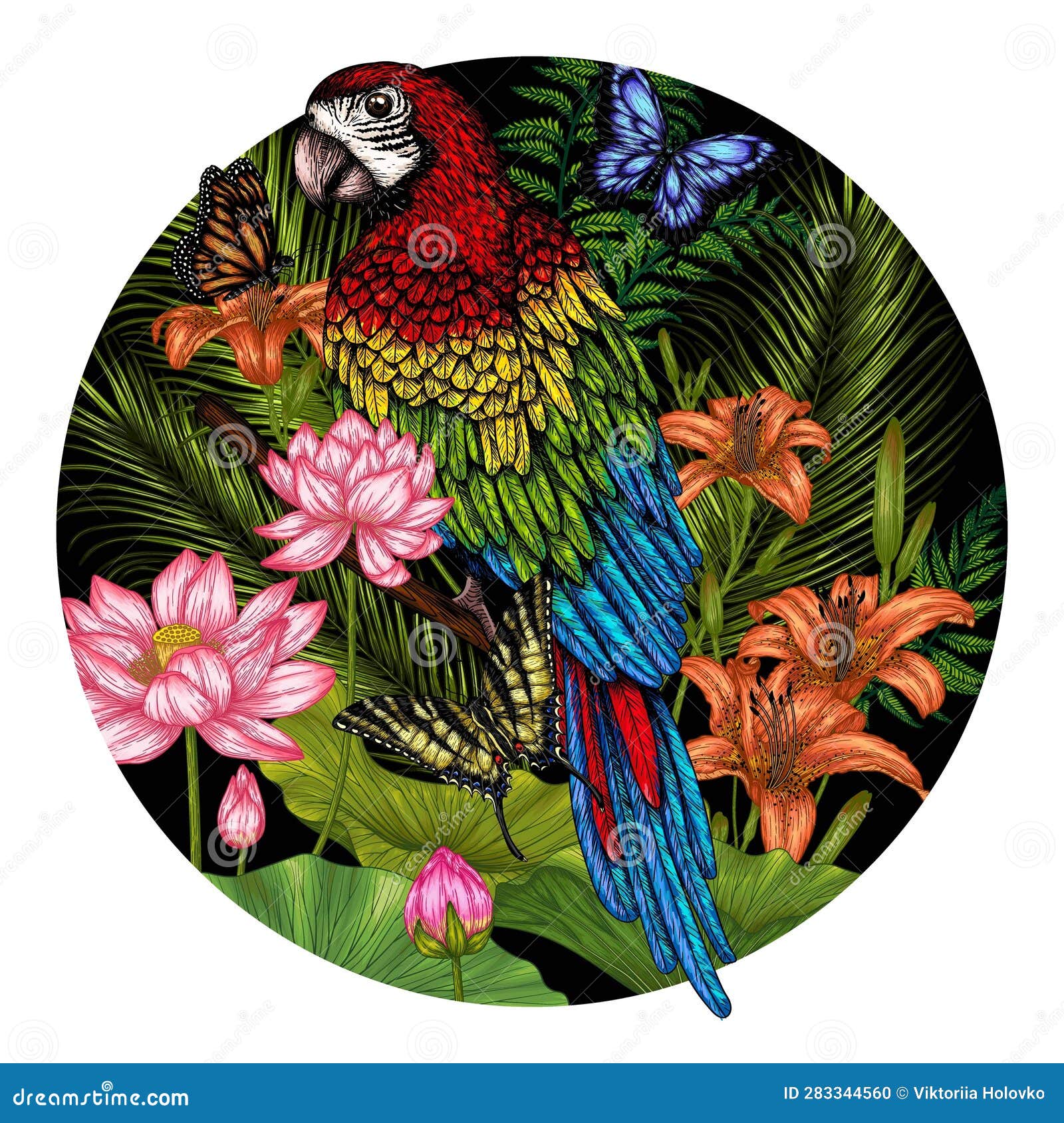   of a ara parrot bird in a tropical garden
